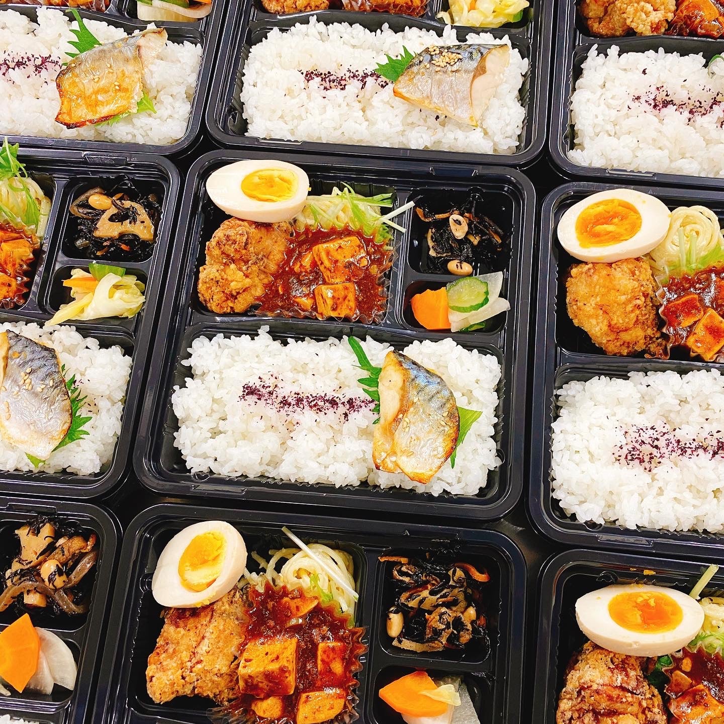 E4系 オール2階建て弁当 プレミアムカード　コンプリートセット E4系 オール2階建て弁当 プレミアムカード コンプリートセット E4系